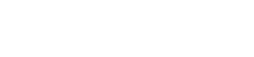 shopify ecommerce