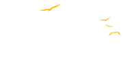 Print of Marseille imprimerie